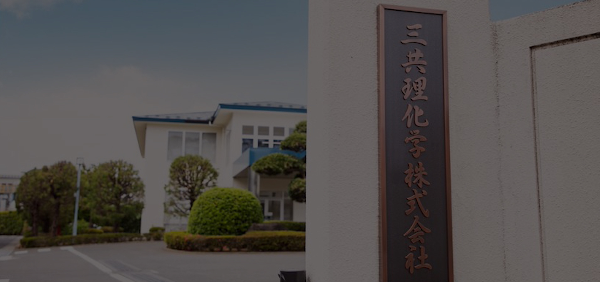 Профиль компании