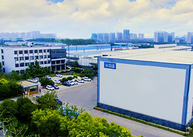 Япония SANKYO RIKAGAKU CO., ООО.