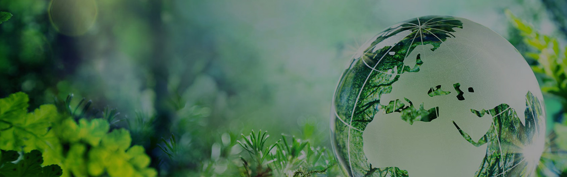 Устойчивость абразивов FUJISTAR