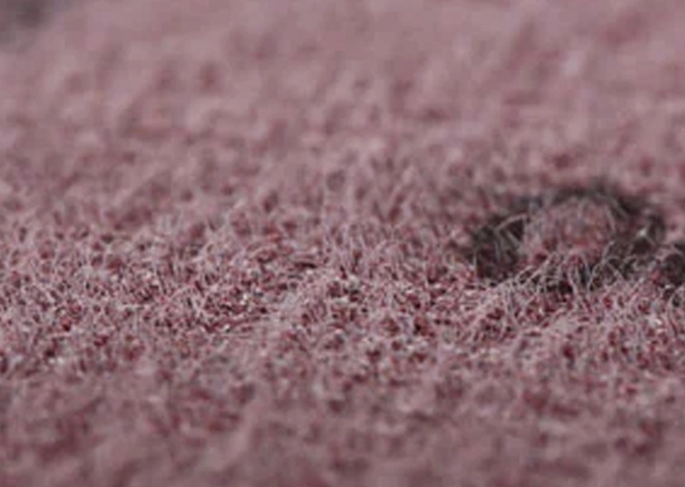 Почему выбирают шлифовальные диски от FUJISTAR?